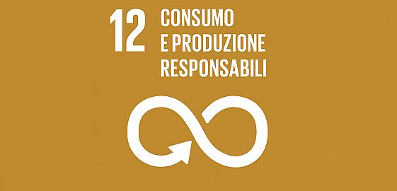 Position Paper su 