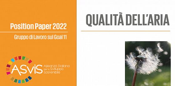 Position paper del Gdl 11 sulla Qualità dell'aria
