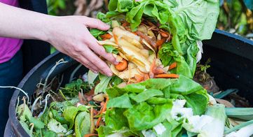 Aumenta lo spreco alimentare: una piaga per la società e l'ambiente