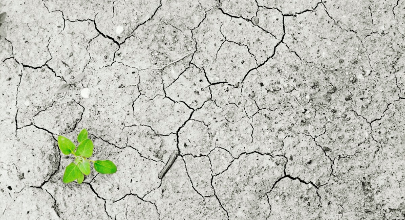 Unep: la temperatura è aumentata 170 volte più velocemente del normale