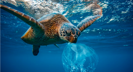 Il 1° rapporto sull’impegno per l’inquinamento da plastica segnala progressi