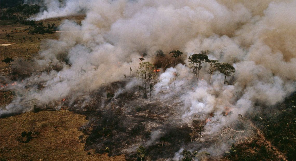 Gli incendi in Amazzonia rilanciano il dibattito sulla governance mondiale