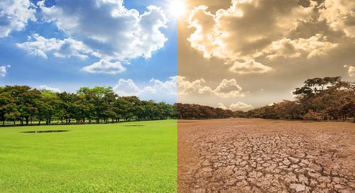 Sette stati europei lanciano la sfida: obiettivi climatici più ambiziosi