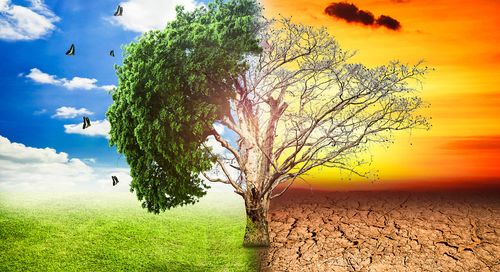 Il cambiamento climatico incide sulle diseguaglianze economiche