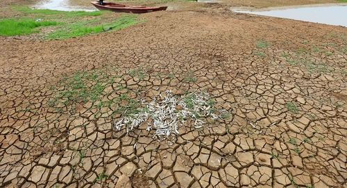 L’Onu recupera le terre degradate per accrescere la sostenibilità
