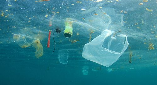 Plastic Bank: la plastica si trasforma in denaro