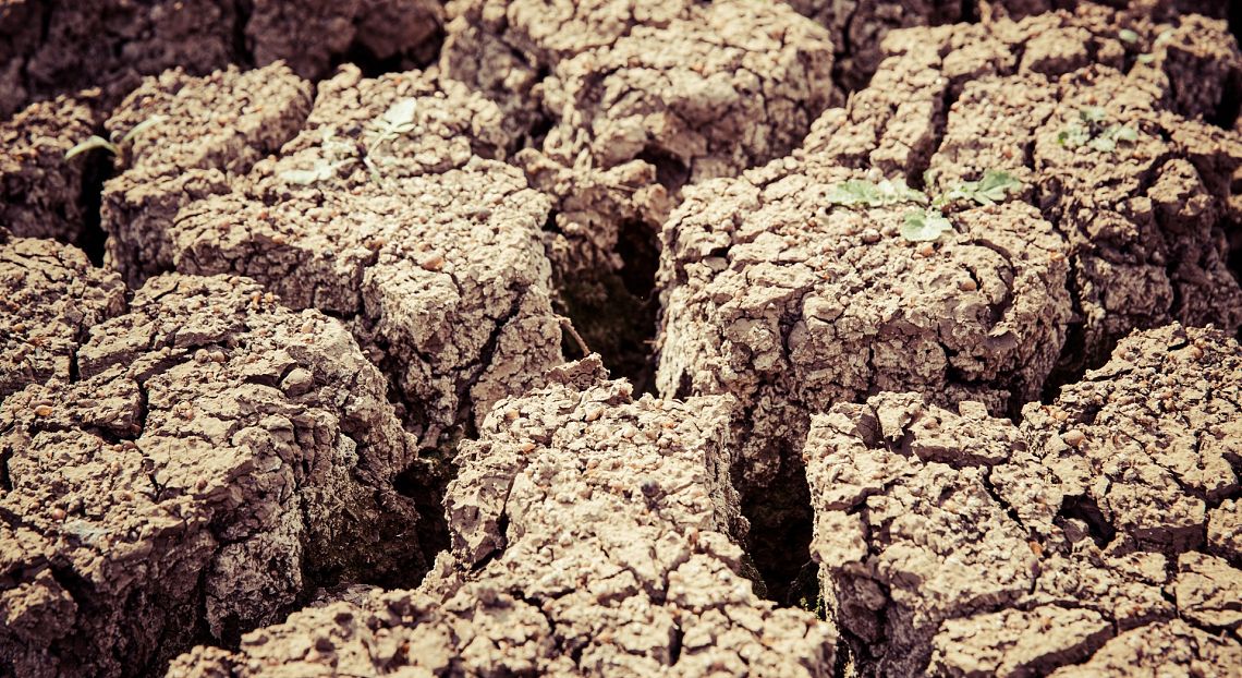 Y Combinator: creare un “unicorno” per combattere il cambiamento climatico