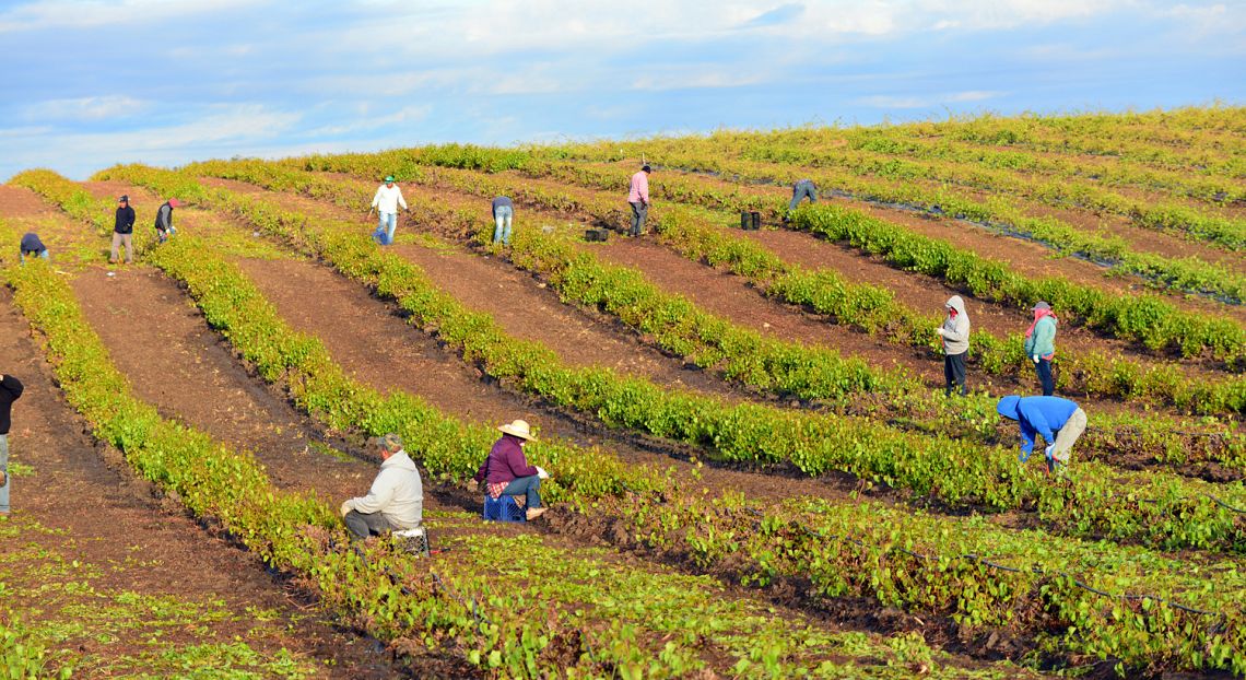 Social Impact Agenda per l'Italia: così gli investimenti a impatto sociale