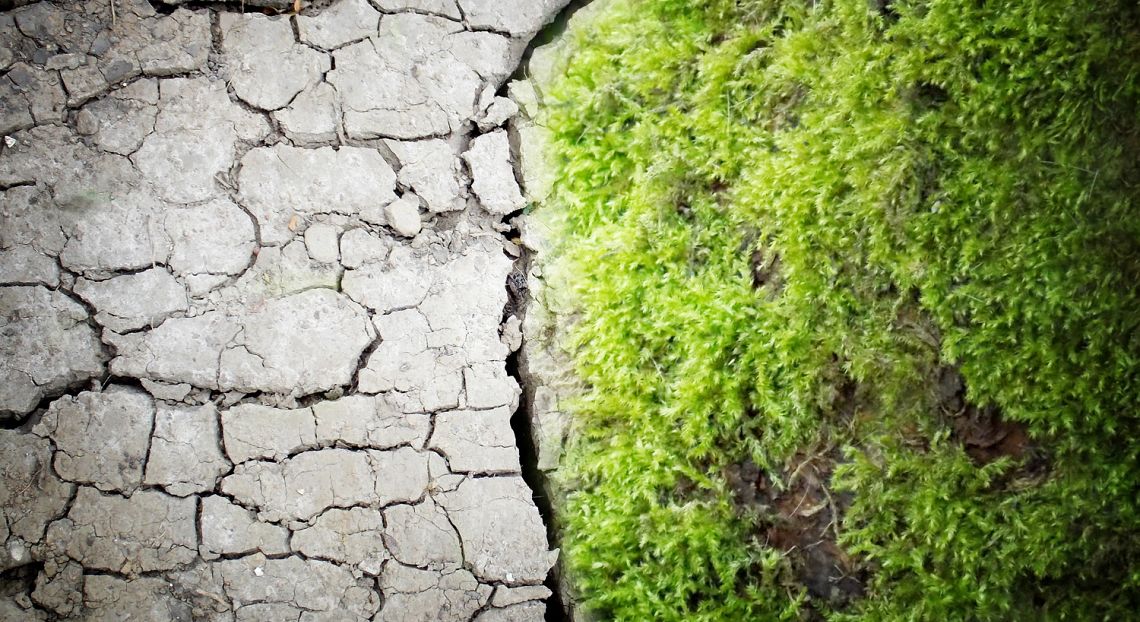Allarme clima, nel 2015 livelli record di CO2 nell’atmosfera