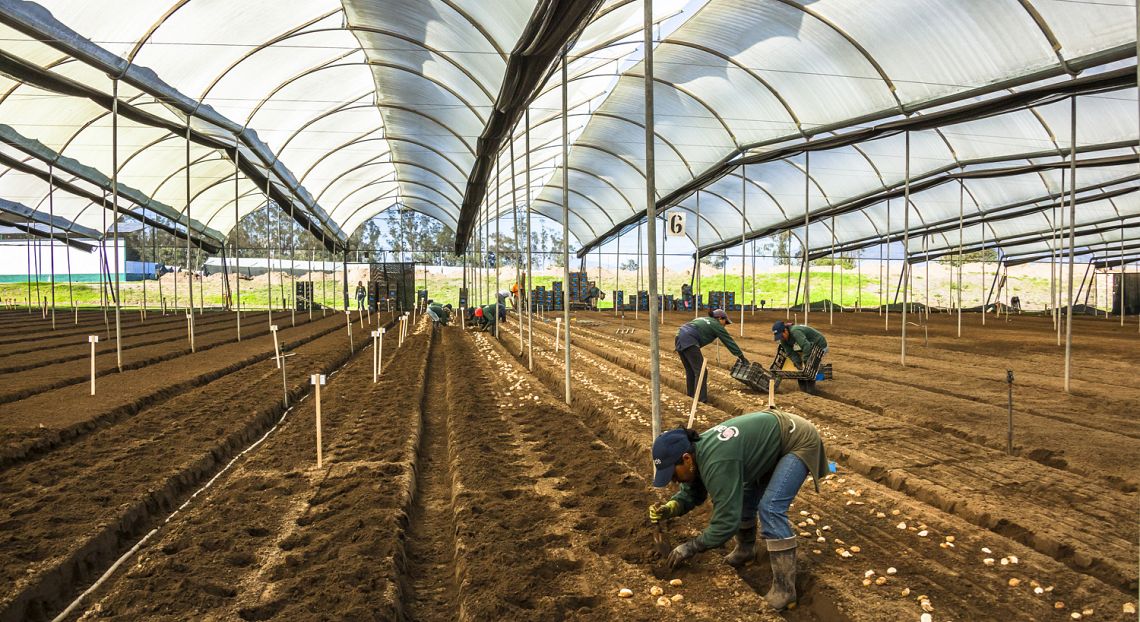 Green economy coalition: “un errore sottostimare il valore della natura”