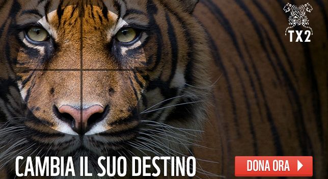 L'allarme Wwf: entro il 2020 le specie animali e vegetali possono crollare del 67%
