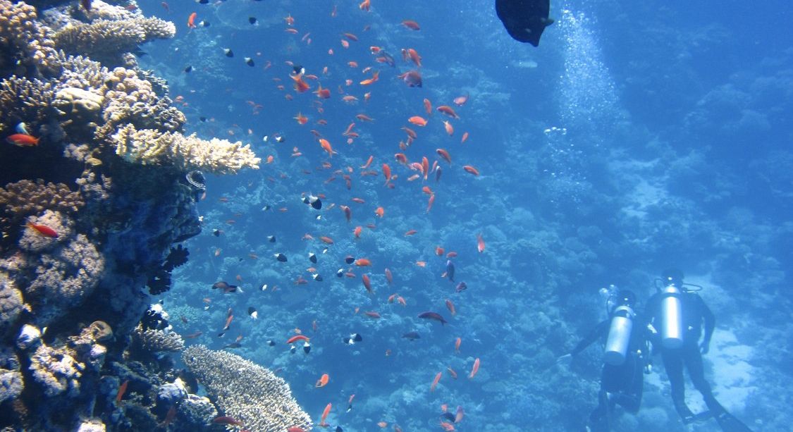 Non si arriverà entro il 2020 a proteggere il 10% delle aree del Mar Mediterraneo