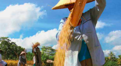 Il World resources institute propone un’agenda contro lo spreco alimentare