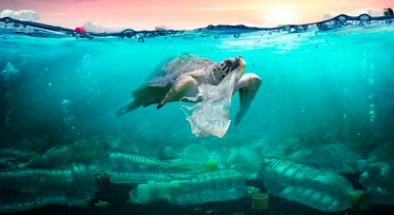 Una montagna di plastica: ogni ora vengono vendute 55 milioni di bottigliette 