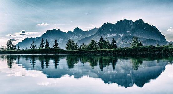 Per rilanciare l’economia post Covid-19 investire nella tutela della biodiversità 