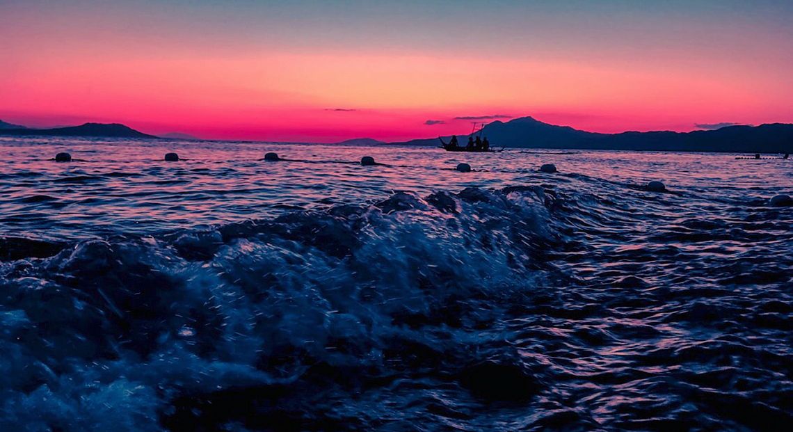 La biodiversità dell’oceano e l’epidemia