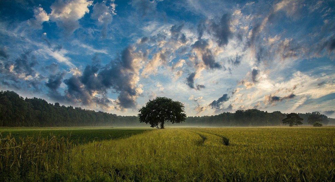 L’eclissi green: come la pandemia ha oscurato l’ambiente sui mezzi di comunicazione