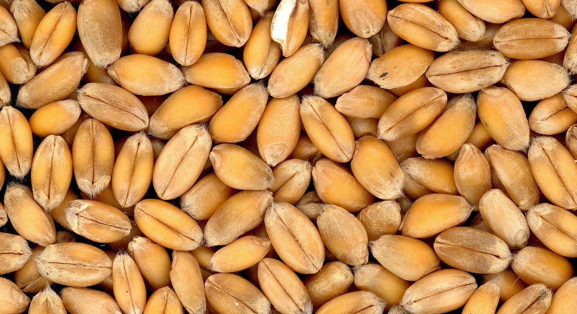 Food Price Index: nelle variazioni dei prezzi alimentari pesa il cambiamento climatico