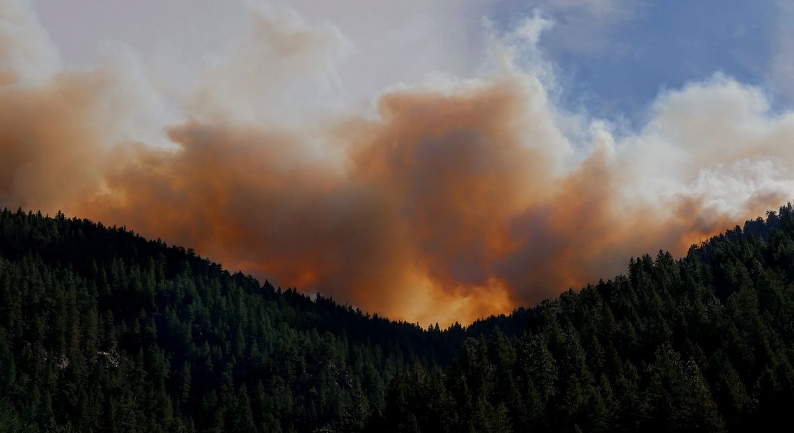 Rumore, incendi e cambiamenti fenologici: rischi emergenti per il pianeta