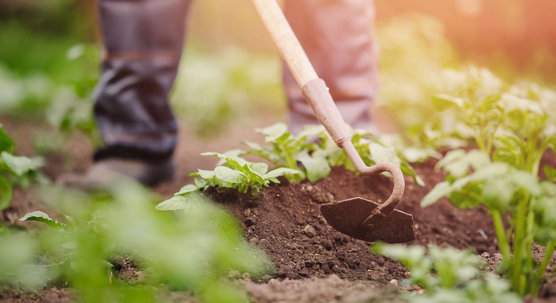 Un’agricoltura sostenibile genera benefici per 10mila miliardi di dollari l’anno