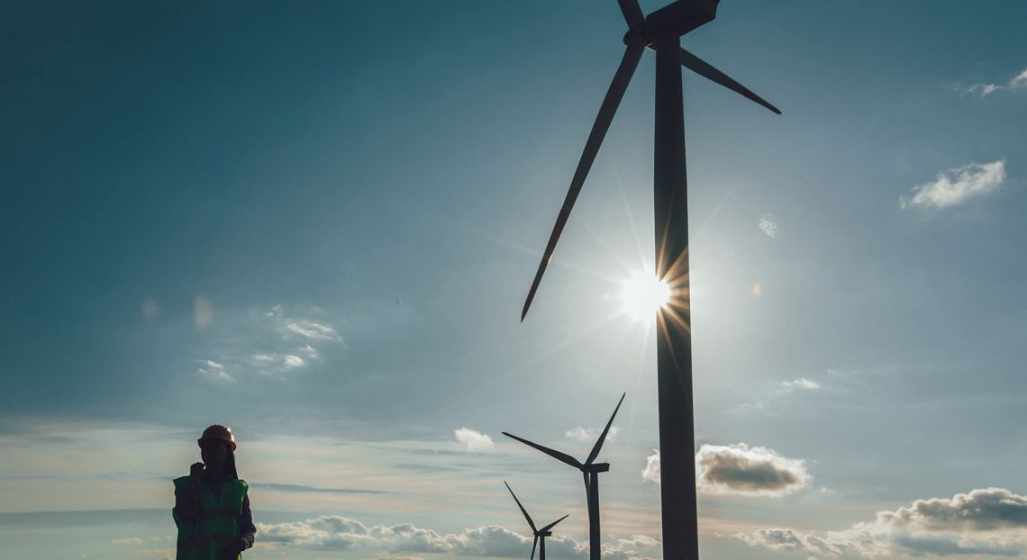 Wwf: dalla decarbonizzazione del sistema elettrico vantaggi economici e lavorativi
