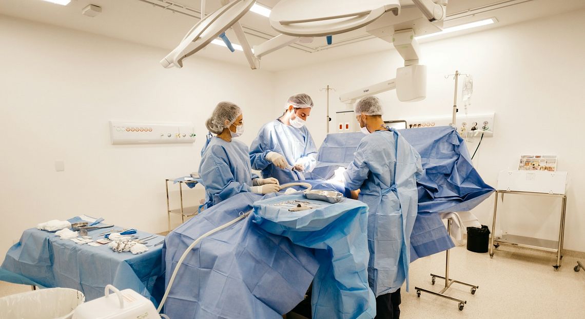 FOCUS. Il futuro dei trapianti, tra progresso, resistenze e organi creati in laboratorio
