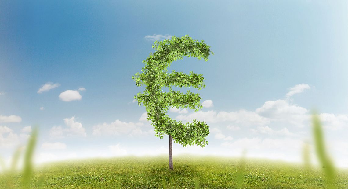 Impact report 2020: il futuro delle imprese è sempre più sostenibile