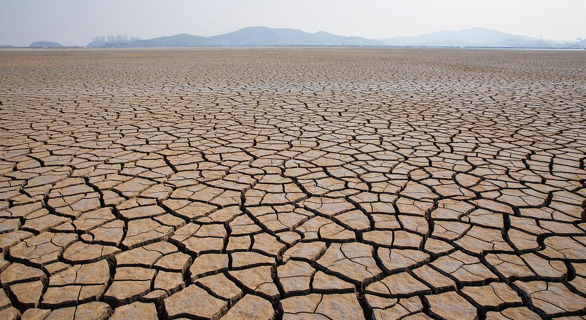 Snpa: cresce il consumo di suolo, nel 2021 il valore più alto degli ultimi 10 anni